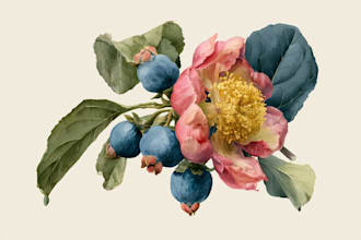 create a botanical illustration in the traditional watercolor technique
