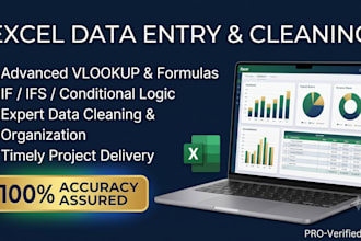 do excel data entry, data cleaning, and advanced formulas