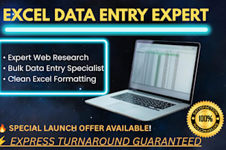 do expert excel data entry and web research