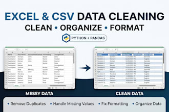 clean and organize messy excel or CSV data