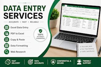 do accurate data entry, copy paste and excel work