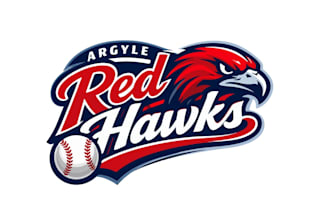 create fantastic gorgeous hawk and baseball logo design