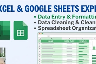 do excel and google sheets data entry formatting and cleanup