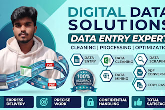 do data entry, excel formatting, data cleaning and tally erp 9