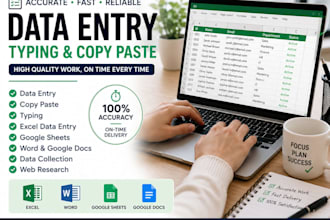 do data entry, typing and copy paste tasks
