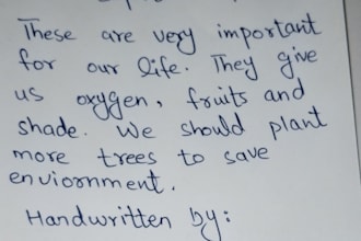 do professional hand written notes and assignments