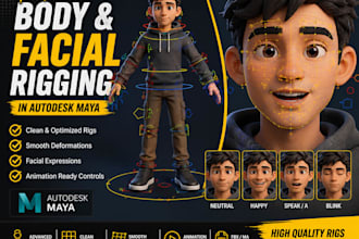 do 3d rig character for you