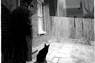 create noir horror and dark comic book illustrations