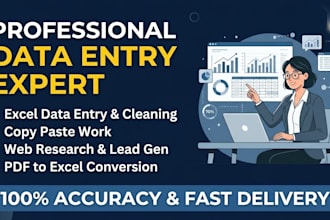 do professional data entry, ms excel, copy paste