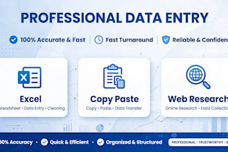do accurate data entry, excel, copy paste, web research and typing work