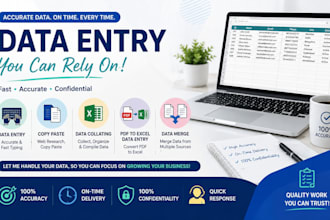 data entry, copy paste, data collating,pdf to excel data entry,data merge