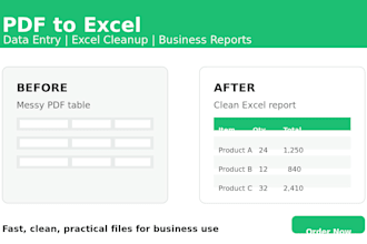 convert PDF to excel and create clean business reports