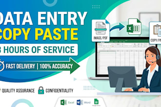 do 3 hours of accurate data entry, copy paste, PDF to excel