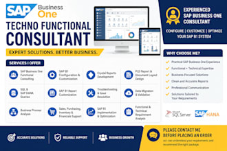 provide expert sap b1 techno functional consulting