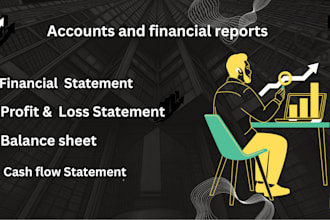 prepare  financial statements and cash flow reports