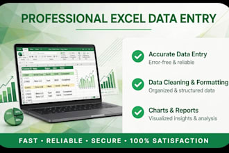 do professional excel data entry