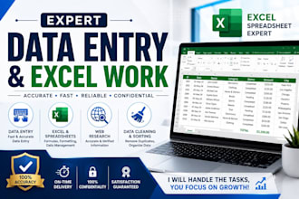 do data entry and excel spreadsheet work