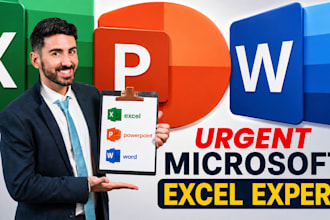 do your microsoft excel ,ms word assignments, projects and modules