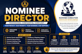 provide professional nominee director service worldwide