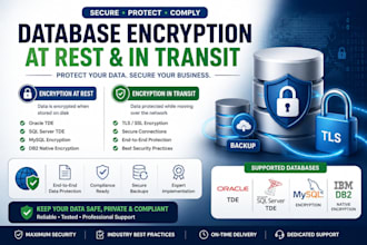 secure your database with encryption at rest and in transit