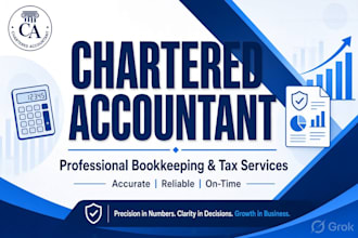 provide professional bookkeeping and accounting services