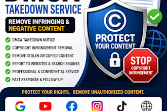 submit a professional dmca takedown notice for copyright infringement