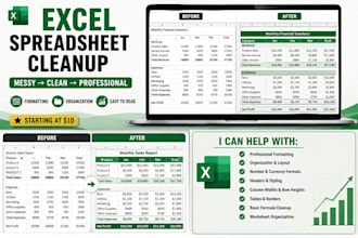 clean up and professionally format your excel spreadsheet