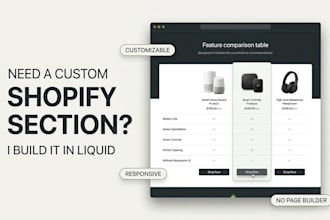 build custom shopify sections using liquid