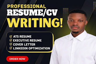 write a c level executive resume for vps, directors, and senior leaders