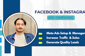setup and manage meta ads campaigns
