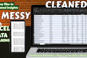 clean and organize data in your excel spreadsheet