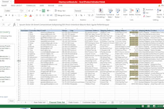 clean, format, and validate excel or CSV data