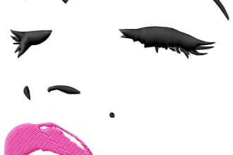 do embroidery digitizing in to dst emb