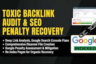 audit toxic backlinks, disavow bad links, fix SEO penalties and index pages