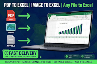 convert pdf to image to excel with accurate data entry