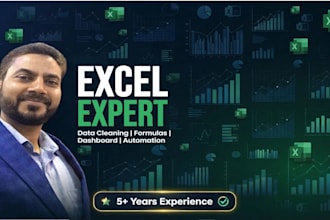 do excel data entry, data cleaning, data merge, data split