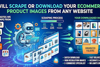 download your ecommerce product images from any website