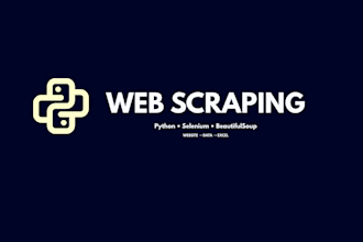 do professional web scraping using python