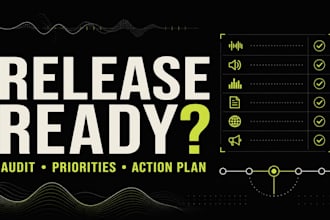 audit your music release plan and deliver a prioritized action map