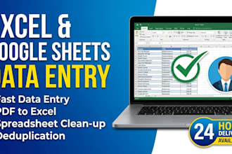 data entry and clean up excel and google sheets