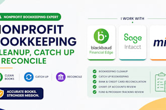 nonprofit bookeeping cleanup catchup reconcile blackbaud financial edge mip sage