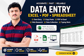 accurate excel data entry from pdf to spreadsheet