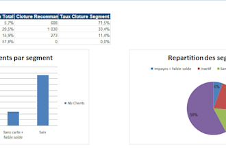 clean, organize, and analyze your excel data