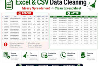 clean and organize your excel or CSV data