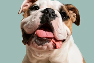 draw a caricature of your dog cat or other pet