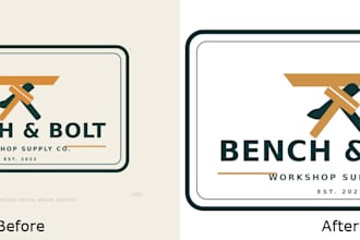 provide manual vector tracing and cleanup for your simple logo or graphic