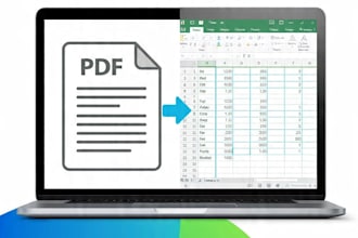 do accurate pdf to excel data entry and conversion