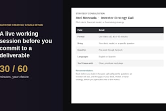provide an investor strategy consultation for your capital raise