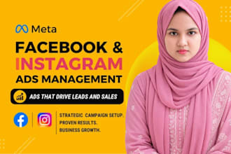 create and manage facebook ads campaigns for your business