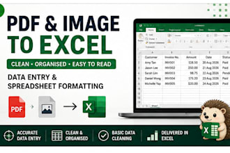 convert PDF and image data to excel